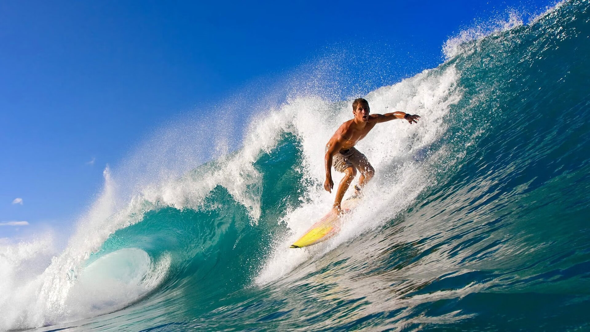 今晚大奖赛焦点战！辽宁男篮迎战密尔沃基雄鹿，小胜或上演